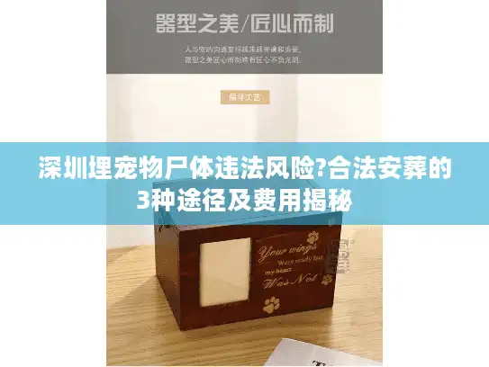 深圳埋宠物尸体违法风险?合法安葬的3种途径及费用揭秘