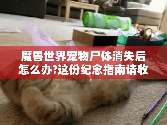魔兽世界宠物尸体消失后怎么办?这份纪念指南请收好