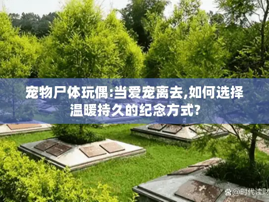 宠物尸体玩偶:当爱宠离去,如何选择温暖持久的纪念方式?