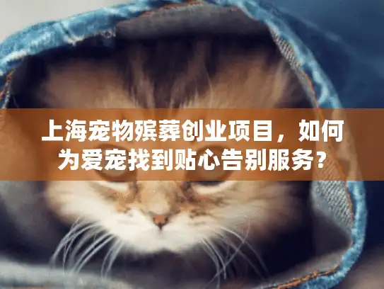 上海宠物殡葬创业项目，如何为爱宠找到贴心告别服务？