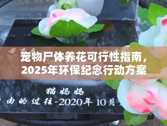宠物尸体养花可行性指南，2025年环保纪念行动方案