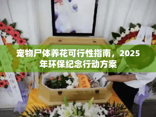 宠物尸体养花可行性指南，2025年环保纪念行动方案