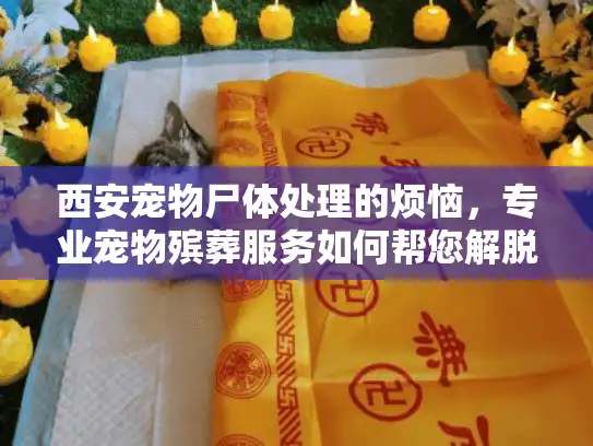 西安宠物尸体处理的烦恼，专业宠物殡葬服务如何帮您解脱？