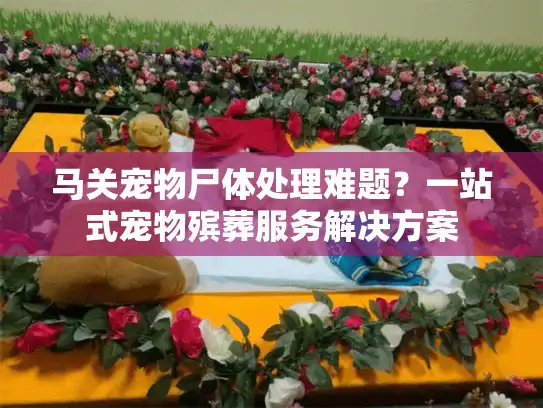 马关宠物尸体处理难题？一站式宠物殡葬服务解决方案