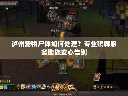 泸州宠物尸体如何处理？专业殡葬服务助您安心告别