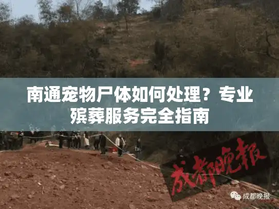 南通宠物尸体如何处理？专业殡葬服务完全指南