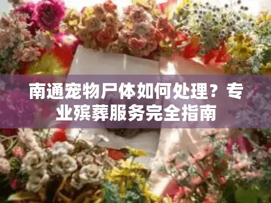 南通宠物尸体如何处理？专业殡葬服务完全指南
