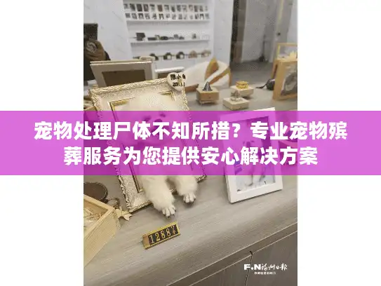 宠物处理尸体不知所措？专业宠物殡葬服务为您提供安心解决方案