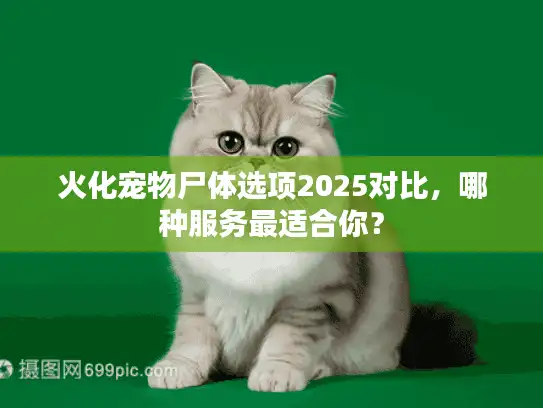 火化宠物尸体选项2025对比，哪种服务最适合你？