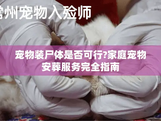 宠物装尸体是否可行?家庭宠物安葬服务完全指南