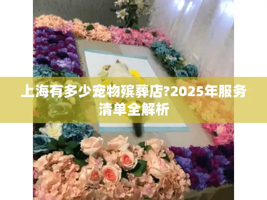 上海有多少宠物殡葬店?2025年服务清单全解析