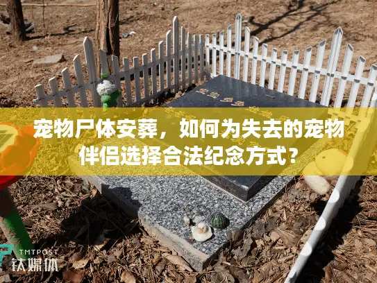宠物尸体安葬，如何为失去的宠物伴侣选择合法纪念方式？