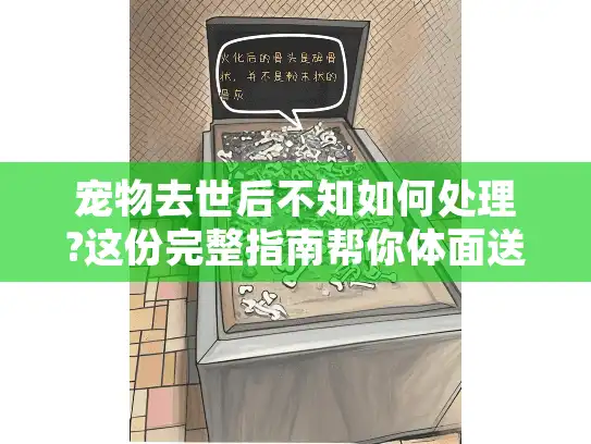 宠物去世后不知如何处理?这份完整指南帮你体面送别爱宠