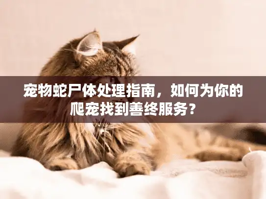 宠物蛇尸体处理指南，如何为你的爬宠找到善终服务？