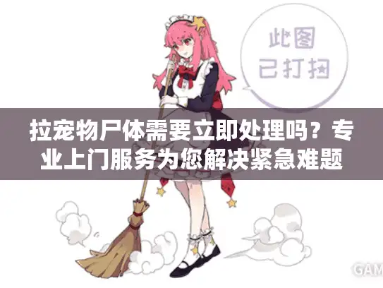 拉宠物尸体需要立即处理吗？专业上门服务为您解决紧急难题