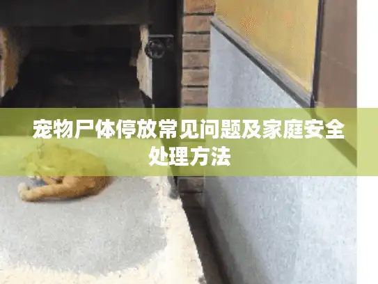 宠物尸体停放常见问题及家庭安全处理方法