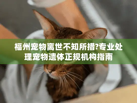 福州宠物离世不知所措?专业处理宠物遗体正规机构指南