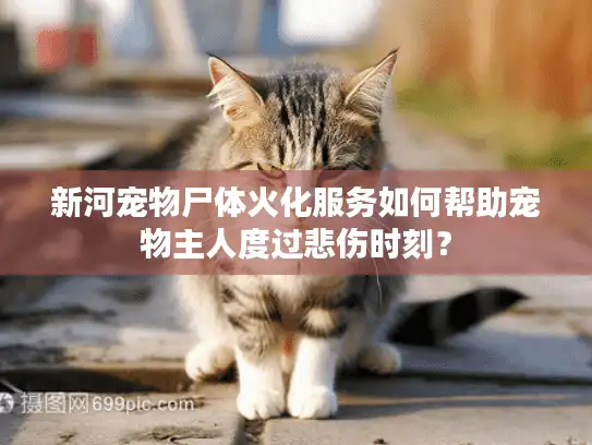 新河宠物尸体火化服务如何帮助宠物主人度过悲伤时刻？