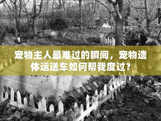 宠物主人最难过的瞬间，宠物遗体运送车如何帮我度过？