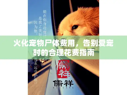 火化宠物尸体费用，告别爱宠时的合理花费指南
