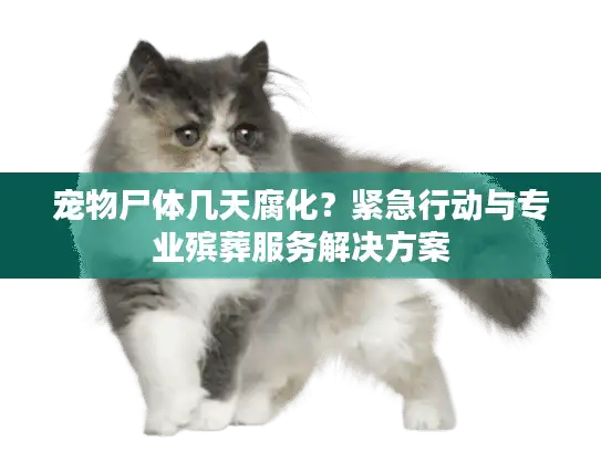宠物尸体几天腐化？紧急行动与专业殡葬服务解决方案