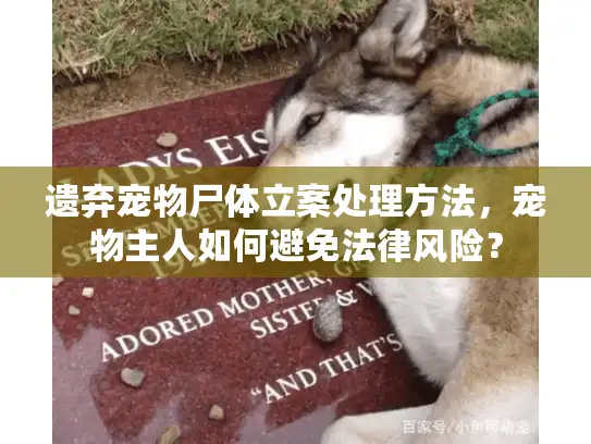 遗弃宠物尸体立案处理方法，宠物主人如何避免法律风险？