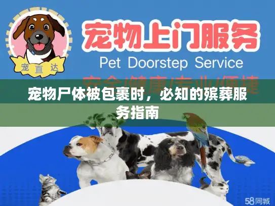 宠物尸体被包裹时，必知的殡葬服务指南