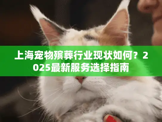 上海宠物殡葬行业现状如何？2025最新服务选择指南