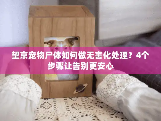 望京宠物尸体如何做无害化处理？4个步骤让告别更安心