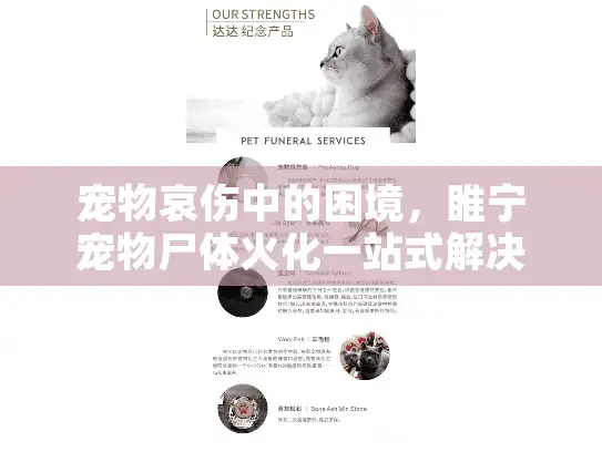 宠物哀伤中的困境，睢宁宠物尸体火化一站式解决方案