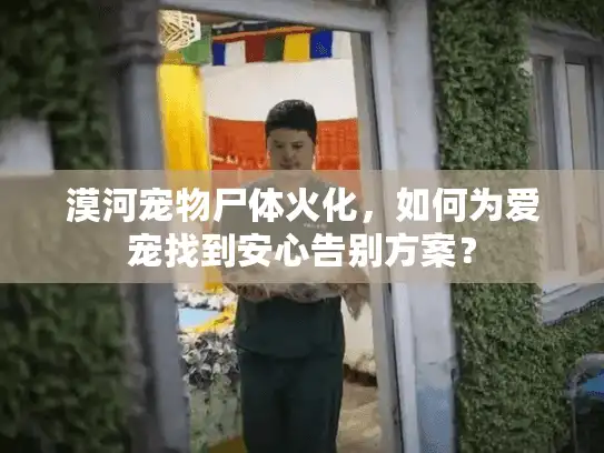漠河宠物尸体火化，如何为爱宠找到安心告别方案？