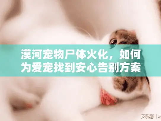 漠河宠物尸体火化，如何为爱宠找到安心告别方案？