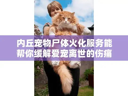 内丘宠物尸体火化服务能帮你缓解爱宠离世的伤痛吗？