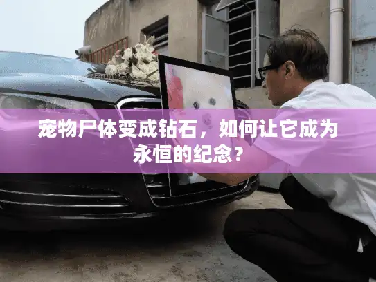 宠物尸体变成钻石，如何让它成为永恒的纪念？
