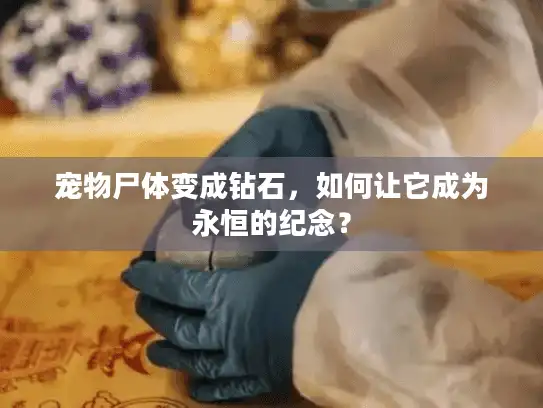 宠物尸体变成钻石，如何让它成为永恒的纪念？