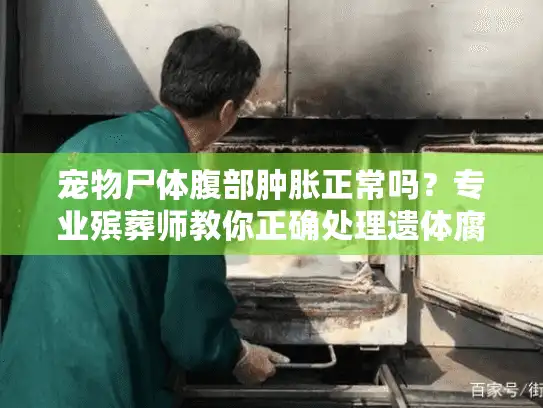 宠物尸体腹部肿胀正常吗？专业殡葬师教你正确处理遗体腐变