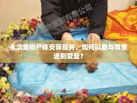 永清宠物尸体安葬服务，如何以爱与尊重送别爱宠？