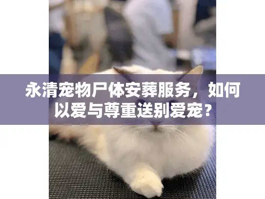 永清宠物尸体安葬服务，如何以爱与尊重送别爱宠？