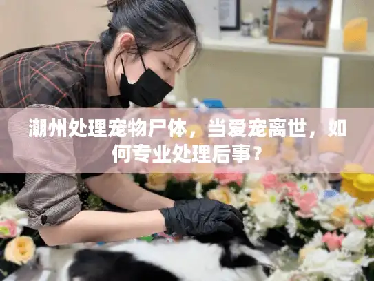 潮州处理宠物尸体，当爱宠离世，如何专业处理后事？