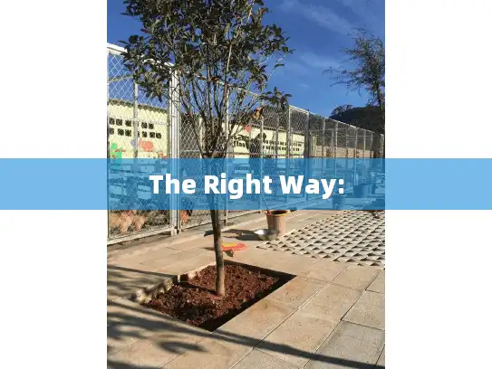 The Right Way: