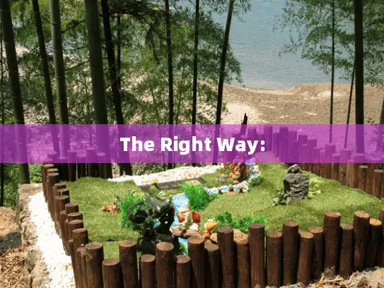 The Right Way: