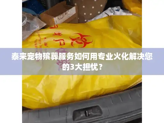 泰来宠物殡葬服务如何用专业火化解决您的3大担忧？