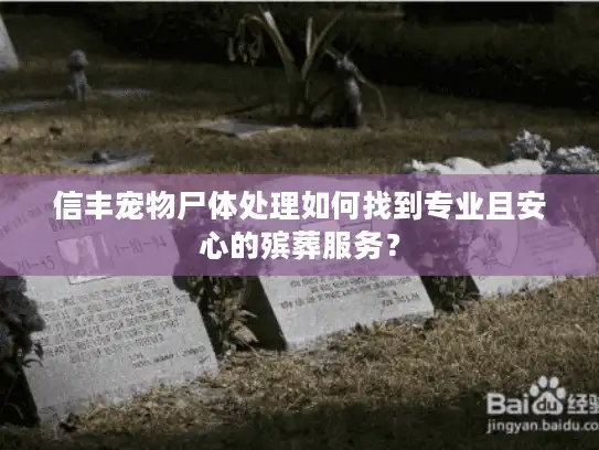 信丰宠物尸体处理如何找到专业且安心的殡葬服务？