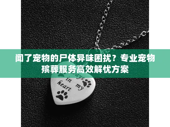 闻了宠物的尸体异味困扰？专业宠物殡葬服务高效解忧方案