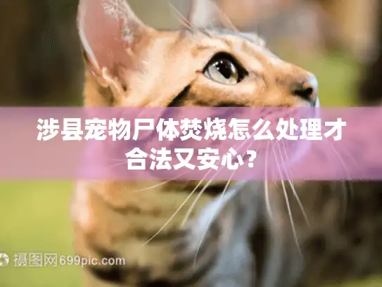 涉县宠物尸体焚烧怎么处理才合法又安心？