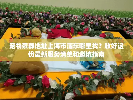 宠物殡葬地址上海市浦东哪里找？收好这份最新服务清单和避坑指南