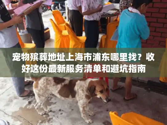 宠物殡葬地址上海市浦东哪里找？收好这份最新服务清单和避坑指南