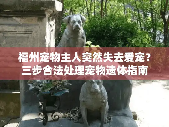 福州宠物主人突然失去爱宠？三步合法处理宠物遗体指南
