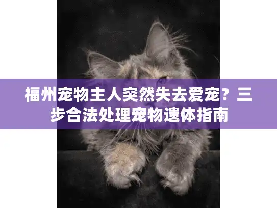 福州宠物主人突然失去爱宠？三步合法处理宠物遗体指南