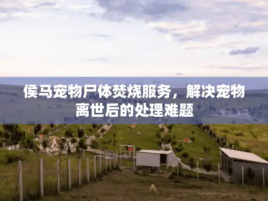 侯马宠物尸体焚烧服务，解决宠物离世后的处理难题